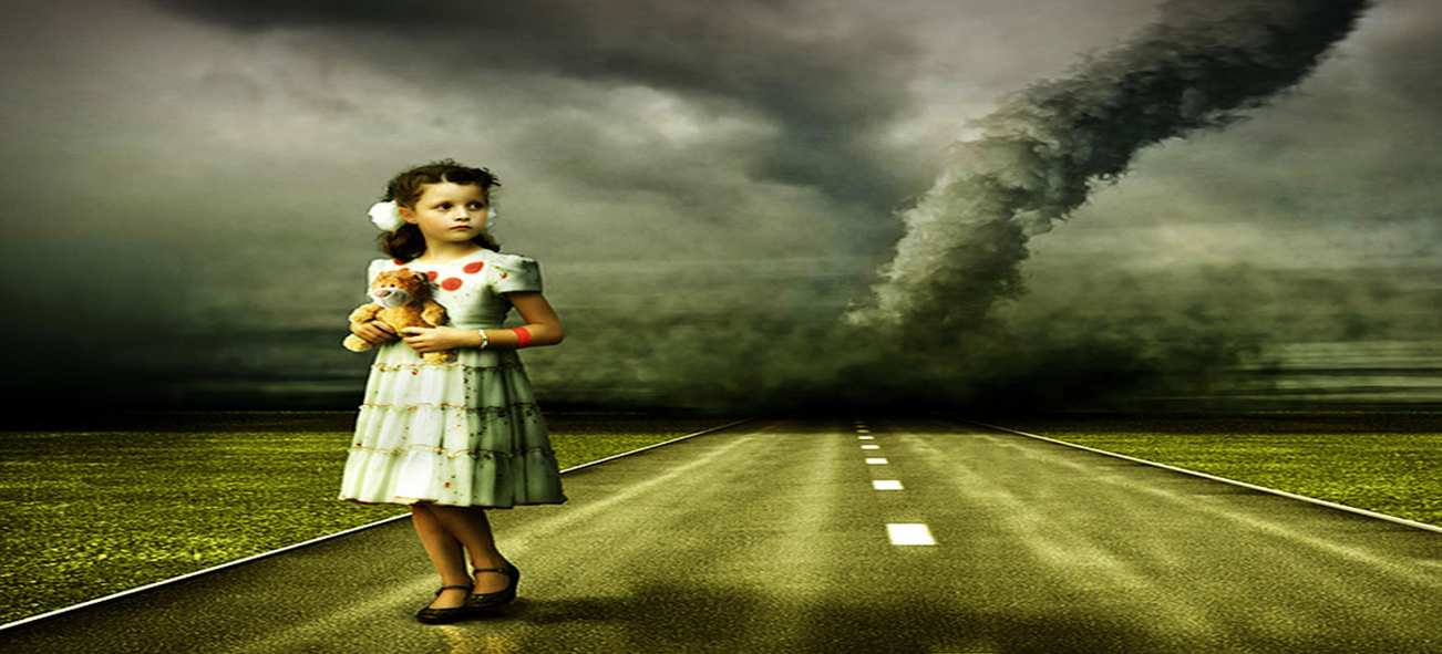 Doylestown Storm Damage Adjuster